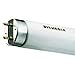 Sylvania luxline-plus – Lampe luxline-plus F36 W/1 M/840 t-8 G13