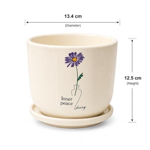 Image of Xtore Serene Floral Ceramic Planter with Saucer for Home & Office Decor | Ribbed Flower Pot with Botanical Artwork for Living Room, Bedroom, Balcony, Desk, Shelf & Window Styling (Off-White)