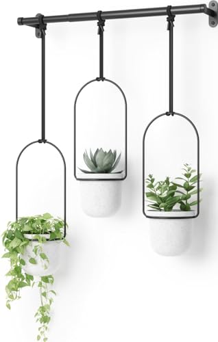 Umbra Triflora Hanging Planter, Indoor Herb...