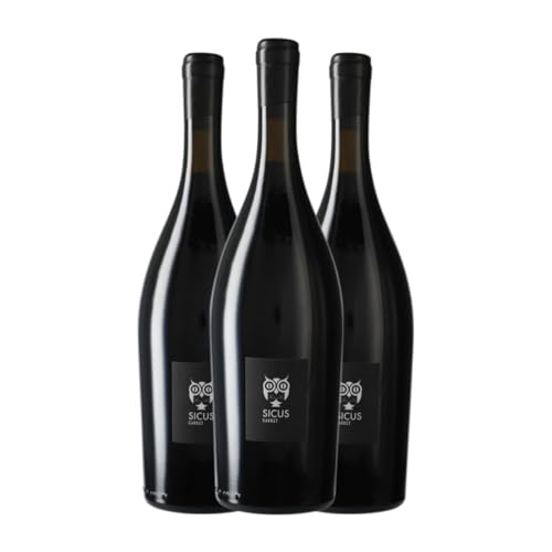 Sicus Garrut Monastrell Penedès – Pack 3 Botellas de Vino Tinto 75 cl Sicus Garrut Monastrell Penedès – Pack 3 Botellas de Vino Tinto 75 cl