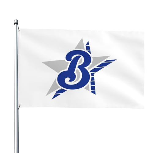 lDeNAxCX^[Yi34j 싅̊   ^pi Ԍ 뉀 LO 4x6ft/122x183cm