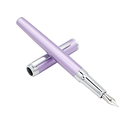 Abcsea 1 Piece Stainless Steel Fountain Pen, Fine Nib Fountain Pen, Business Pen, Light Fountain Pen, For Gift, School, Work, Purple