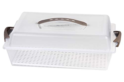 Cofan Tartera Rectangular | Modelo Pavlova I Incluye asa y tapa I Color crema I Medidas 38 x 28 x 13 cm