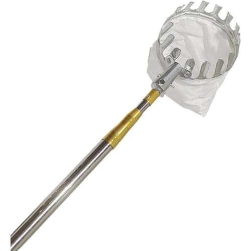 Lkyʉʕn }ԕt ʎpi 蓮t[csbJ[ |Lkbh (5m)