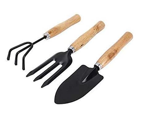 Gardening Tools Set – 3-Pieces | Gardening Tools Kit | Garden Spectacular | Garden Tool Wooden Handle | Combo of Hand Cultivator, Small Trowel, Garden Fork Gardening Tools Set – 3-Pieces | Gardening Tools Kit | Garden Spectacular | Garden Tool Wooden Handle | Combo of Hand Cultivator, Small Trowel, Garden Fork