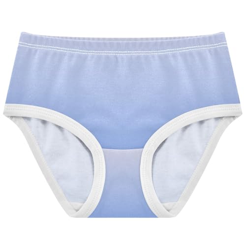 Joisal Magnolia Cornflower Blue Gradient Toddler Girls Underwear 2t Cotton Panties for Girl Personalized Kids Briefs Undies