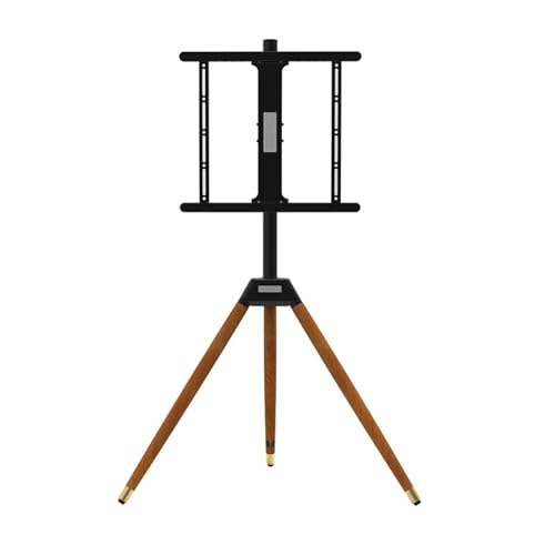 Support mobile pour téléviseur idéal pour le salon et la chambre - 2