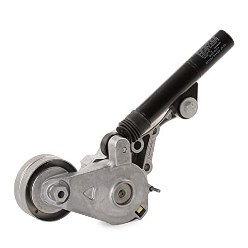 INA Braccio tenditore Cinghia Poly-V 533 0081 30