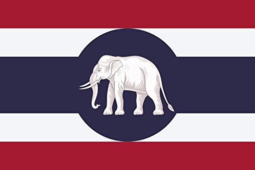 Drapeau consulaire de Thaïlande grand format pour mât extérieur - 2