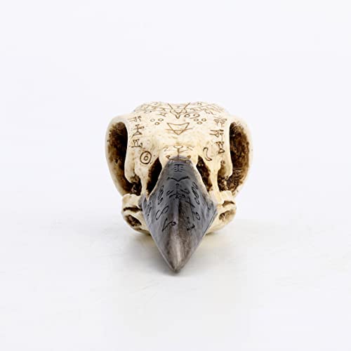 Escultura de Calavera de Cuervo Ritual Veronese Design miniatura 4