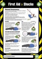 Póster, 1st Aid Shocks, laminado, señales, protección personal, seguridad del sitio - 55905