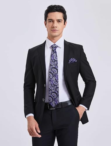 Image of HISDERN Ties for Men Paisley Tie and Pocket Square Woven Classic Floral Mens Ties Handkerchief Set Wedding Party Necktie