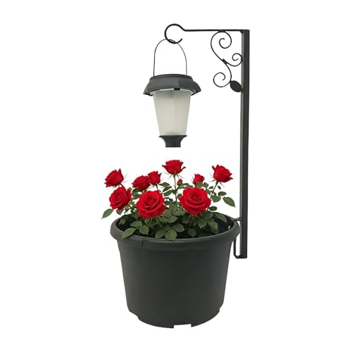 Jardinière solaire pour une ambiance douce et chaude sur la terrasse et le porche