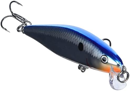 Amazon ラパラ Rapala フラットラップ Flr8 Ch クローム 8cm 7g ラパラ Rapala スポーツ アウトドア