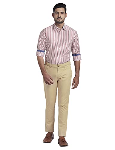 Image of Colorplus Men's Pure Cotton Stripe Pattern Tailored Fit Spread Collar Full Sleeve Casual Shirt