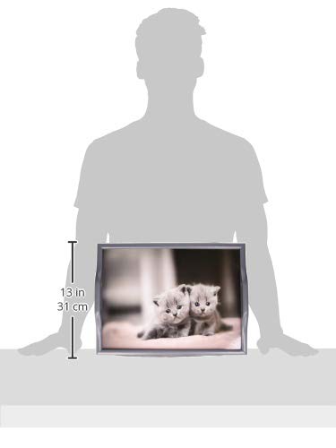 Plateau de lit à coussin Chatons Aidapt pour petit-déjeuner confort - 5
