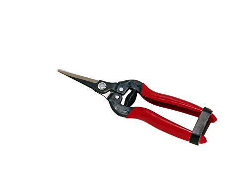 Preisvergleich Produktbild PROFI BLUMEN- AUSPUTZSCHERE 2529