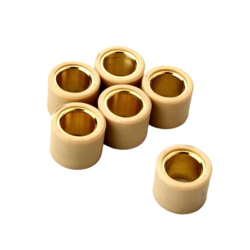 Galets de variateur 21x17 pour restaurer la puissance du GP1 250 en ville