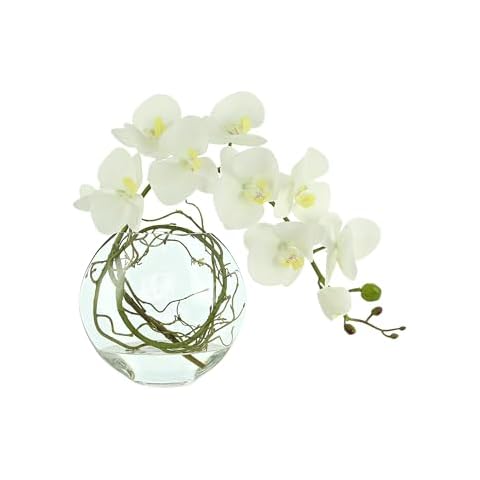 Creative Displays Orchid Floral in Glass Vase, 15" H, Made in USA for Home or Office Cover