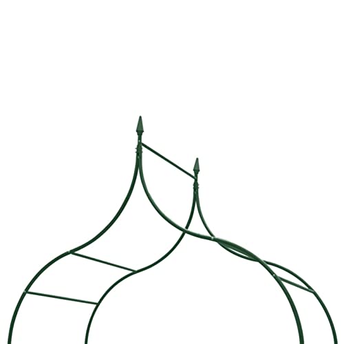 Arche de jardin à pics : la solution stable pour soutenir vos plantes en extérieur - 3
