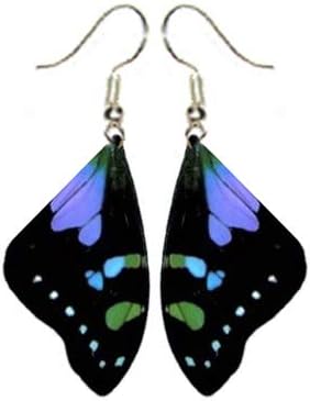 BicBugs REAL preserved Graphium weiskei purple blue green forewing swallowtail butterfly wing earrings