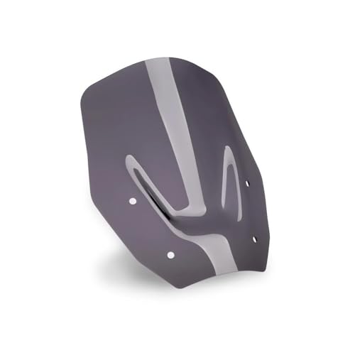 Extension bulle pare-brise avant pour R 1300 GS spoiler moto