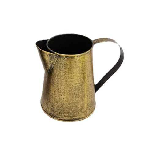 Bloepum Metal Vase Decorative Shabby Pitcher Flower Holder Metal Vase