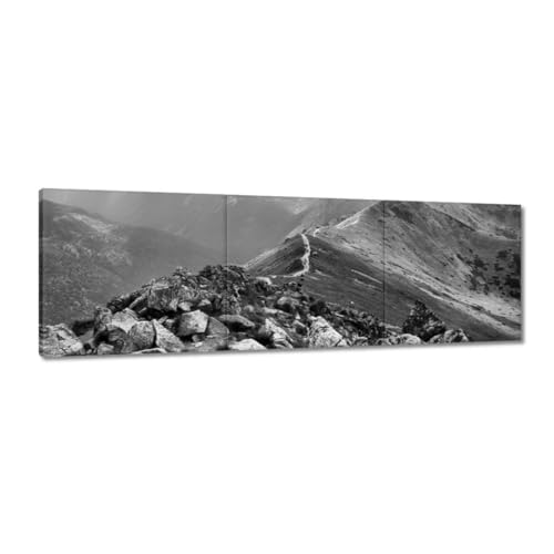 Peinture imprimée sur toile Tatry pour habiller un grand mur vide tableau de montagne 150x50cm