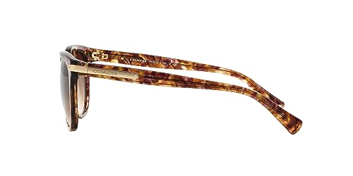 Image of Coach womens Hc8132 Cat Eye Sunglasses