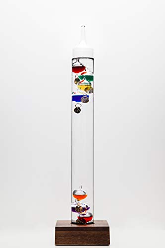 Weiss Instruments Horizontal Wall Mount LCD Remote Reading Digital Thermometer (25SD-160)