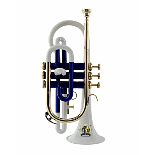SOUND SAGAR Cornet 3 Valve, BB Pitch, Premium Quality Including Mouthpiece and Carry Case. (WHITE)