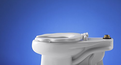 Kohler K-4686-A-0 Primary Solid Plastic Child Toilet Seat White #TOP2