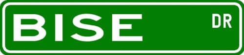 BISE Street Sign ~ Personalized Family Lastname Sign ~ Gameroom, Basement, Garage Sign **