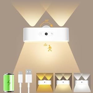 Silrives SK-BD188F LED Akku Wandleuchte