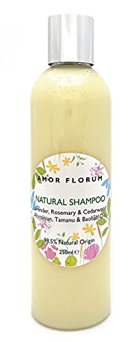 98,5% Natürliches SHAMPOO - ALOE VERA, ABYSSINISCH, TAMANU, AFFENBROTBAUM, LAVENDEL, ROSMARIN & ZEDERNHOLZ - 250ml von AMOR FLORUM. Sulfatfrei, Parabenfrei. Konzentriert, sanft. pH 5,2-5,7 Ausgewogen Cover