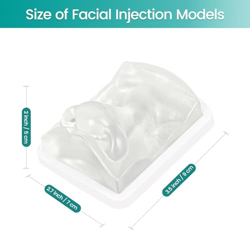 Image of Transparent Facial Injection Model, Facial Training Nose Model for Injection and Filler Practice, Used for Micro Plastic Surgery Teaching, Beautician Teaching, Medical Students Doctors