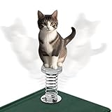 Dekorationen für das Armaturenbrett von Autos | Katzenfigur Mit Wackelkopf Aus 2D Acryl | Figuren für das Armaturenbrett - Für Computer Innenraum Büro Frauen Pinnwand Feiertag Männer Schreibtisch