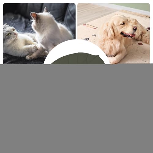 Tapis rafraîchissant en forme de feuilles pour chat isolant - 6