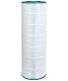 Future Way Pool Filter Cartridge Replacement for Pentair Clean and Clear 200, CC200, R173217, Pleatco PAP200-4, 200 sq.ft Pool Filter, Easy to Back Wash, 1 Pack
