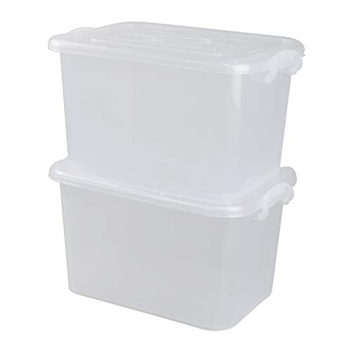Bblie Caja de Almacenamiento de Plástico, Cajas con Tapadera Transparente, Paquete de 2 (Grande)