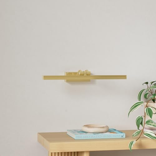 FUNCHDAY Picture Light,Battery Operated Art Lights for Wall,Wireless Remote Painting Light with Timer and Dimmable,16”Metal Display Lighting for Artwork,Portrait,Gallery-Gold-L