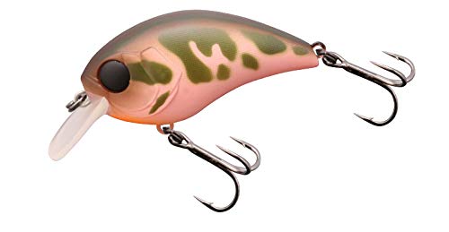 Amazon.co.jp: JACKALL(ジャッカル) マッシュボブ50MR カワシマ膨張