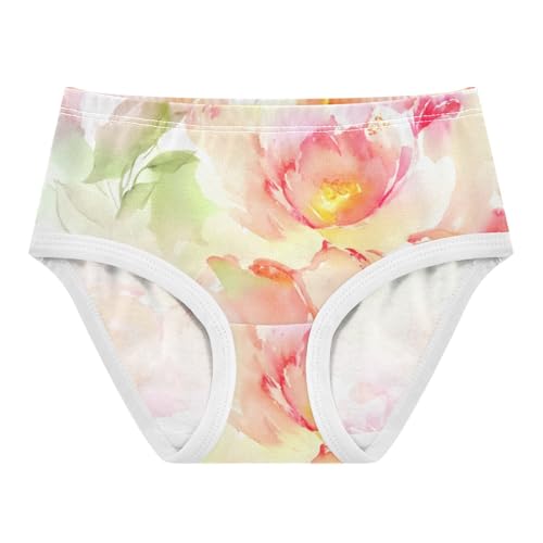 Fun Print Girls Underwear Toddlers 2t Cotton Panties Little Girl Peony Flowers Peach Pink Kids Undies Briefs
