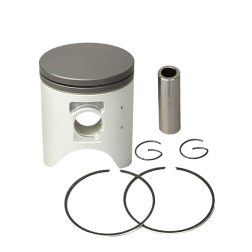 sXgƃOLbg 246 KAE MD24 TCY 66 66.25 66.50 67 ~[g CRM250 R CRM250R CRM 250R ƌ݊(66.50mm)