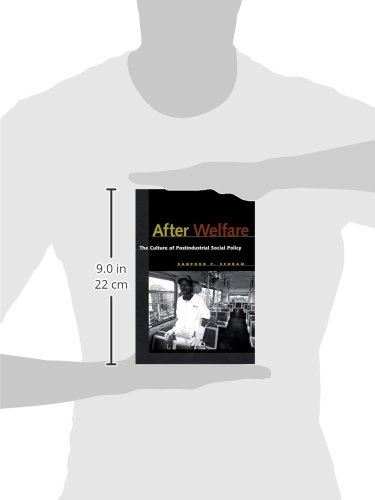 After Welfare: The Culture of Postindustrial Social Policy