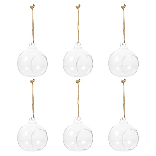 LOORGVEL Jarrón Hidropónico Colgante para Micropaisaje Interior, Set De 6 Piezas De Vidrio Transparente De 8 Cm, Soporte Decorativo para Plantas Hidropónicas y Musgo