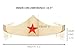 DC Comics Wonder Woman Golden Tiara with Red Gem Star