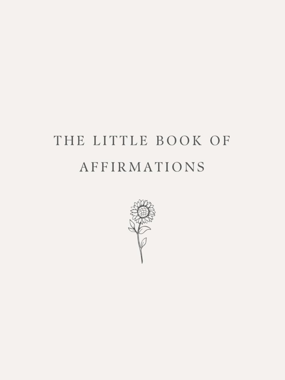 The Little Book of Affirmations