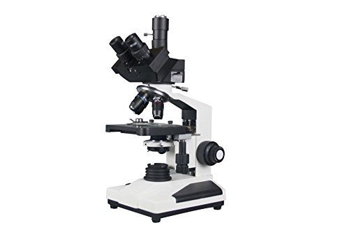 Radical 2500X Ricerca Professionale Dottore