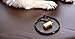 Mythrojan Brass and Steel Pet Training Clicker Puppy Dog Training Cricket Clicker U.S. Engraved WII Military Gear Metal Clicker